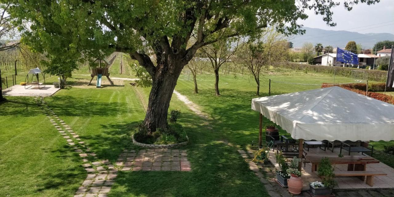 Agriturismo L'Albara - Wines, Pool & Spa Villaganzerla Zewnętrze zdjęcie