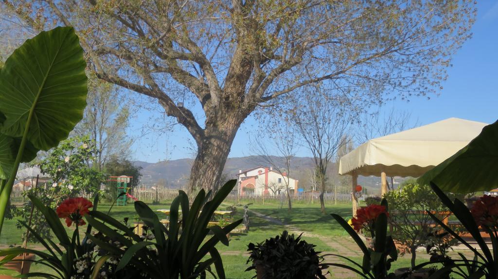 Agriturismo L'Albara - Wines, Pool & Spa Villaganzerla Zewnętrze zdjęcie